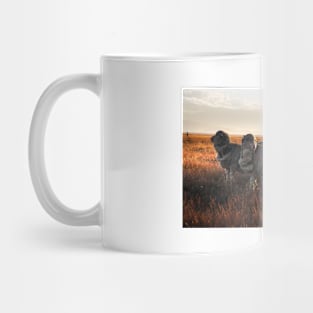 Merino Sheep in the Sunset Mug